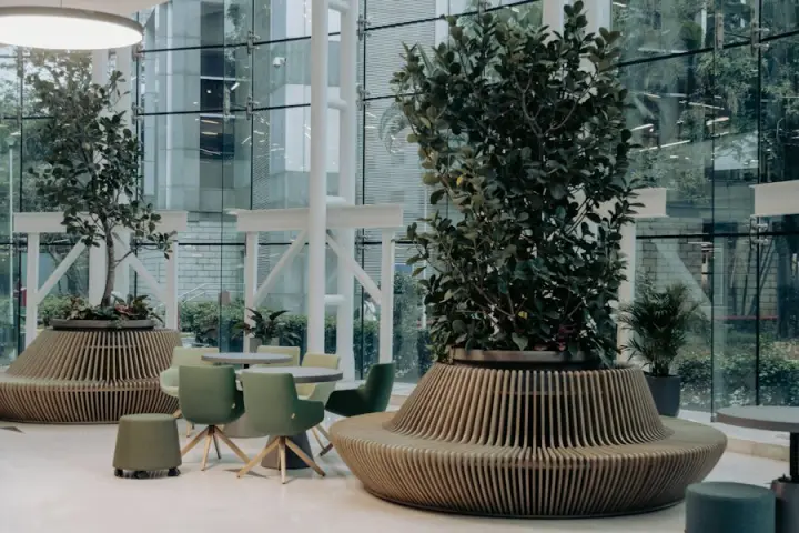 Bright office with tables and potted trees